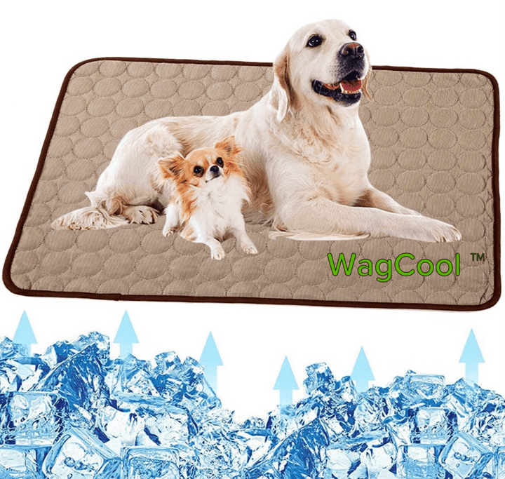 Alfombrilla refrescante para perros - Alfombrilla CoolPet