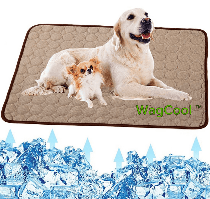 Alfombrilla refrescante para perros - Alfombrilla CoolPet