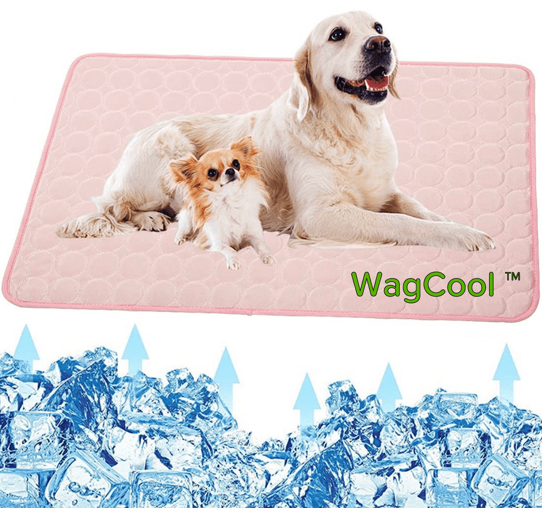 Alfombrilla refrescante para perros - Alfombrilla CoolPet