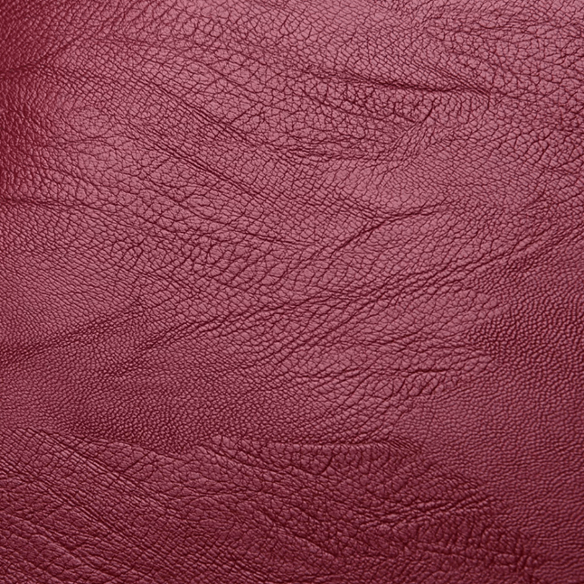 Premium waterproof leather backpack for women