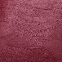 Premium waterproof leather backpack for women