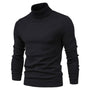 Johan Rollkragenpullover | Stylischer Pullover mit kleinem Rollkragen