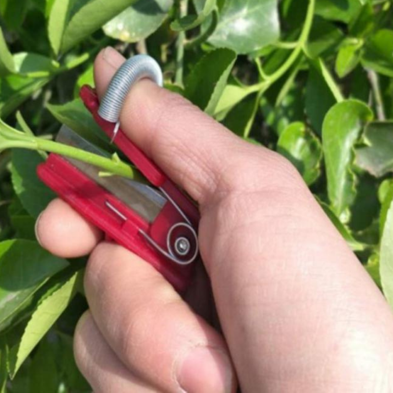 GardenGrip | Easily pick your own fruits and vegetables with this practical tool!