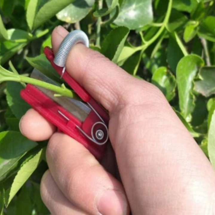 GardenGrip | Easily pick your own fruits and vegetables with this practical tool!