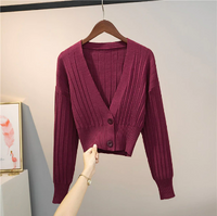 Daisy's Pullover - Fiadora