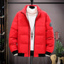 gepolsterte Winterjacke | Schön warm und kühl
