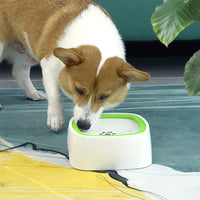 Pet Spray Bowl | The Refreshing Water Dispenser for Your Beloved Pet