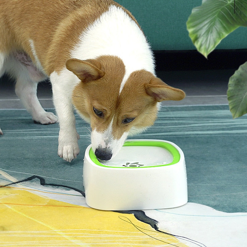 Pet Spray Bowl | The Refreshing Water Dispenser for Your Beloved Pet