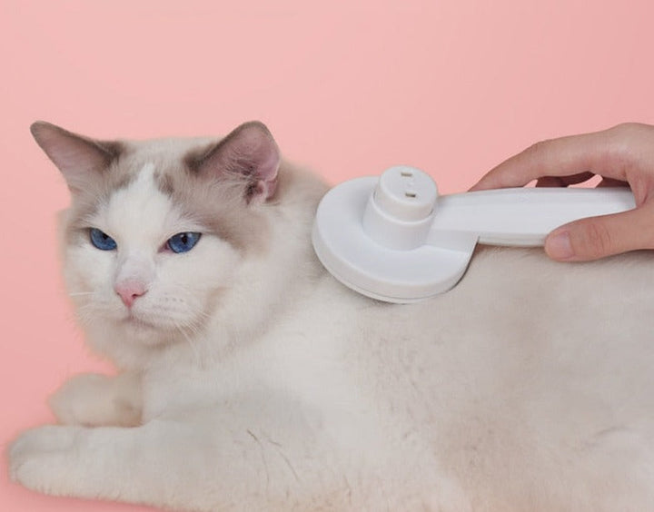 Kitty Katzenbürste | Selbstreinigende Bürste zum Kämmen Ihrer Katze