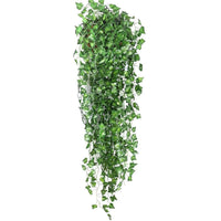 Evergreen | No matter the season, your leaves will be bright and green!