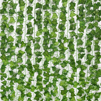 Evergreen | No matter the season, your leaves will be bright and green!