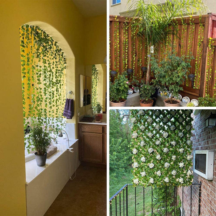 Evergreen | No matter the season, your leaves will be bright and green!