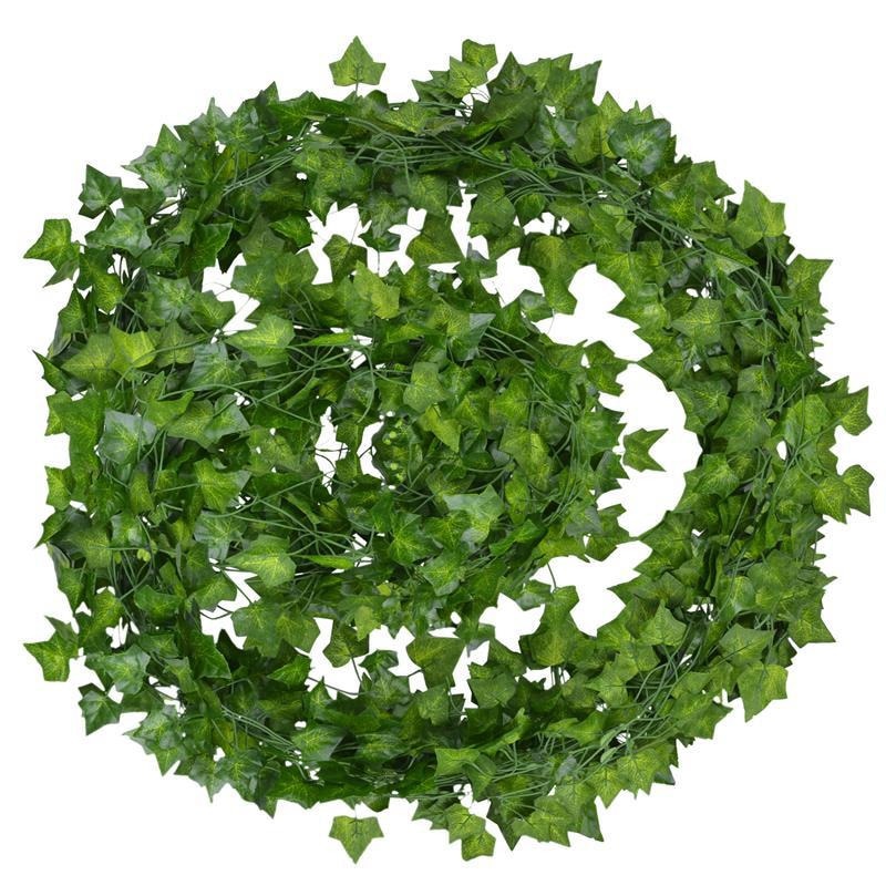 Evergreen | No matter the season, your leaves will be bright and green!