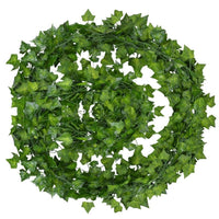 Evergreen | No matter the season, your leaves will be bright and green!