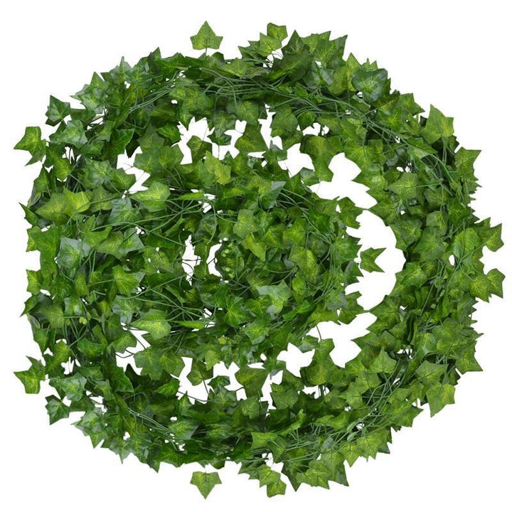 Evergreen | No matter the season, your leaves will be bright and green!