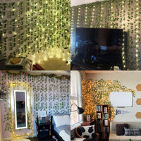 Evergreen | No matter the season, your leaves will be bright and green!
