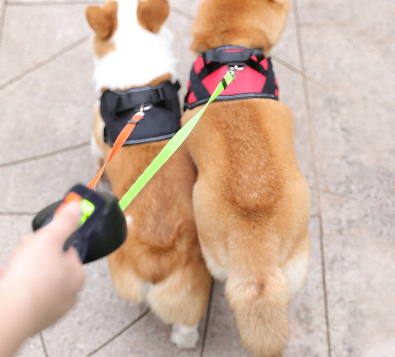Pro Haustier dobbelt hundesnor | Den bedste opfindelse for hundeelskere