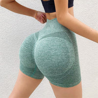Fiona Fitness Shorts | Seamless and Comfortable Shorts for Sports and More