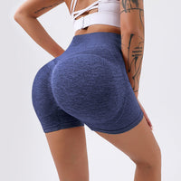 Fiona Fitness Shorts | Seamless and Comfortable Shorts for Sports and More