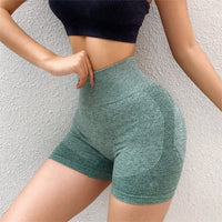 Fiona Fitness Shorts | Seamless and Comfortable Shorts for Sports and More