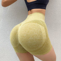 Fiona Fitness Shorts | Seamless and Comfortable Shorts for Sports and More