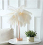 Feder Lampe